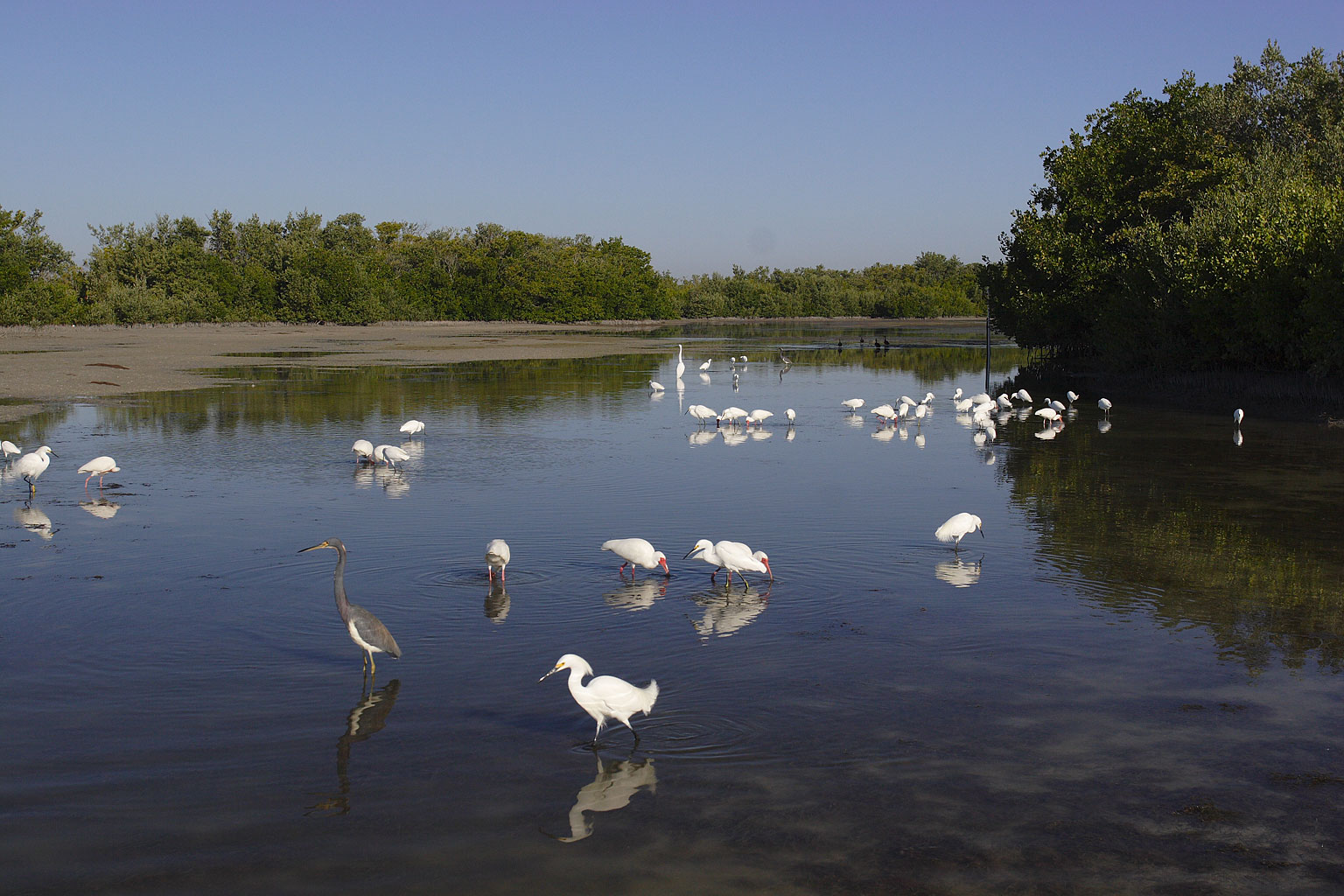 estero_lagoon