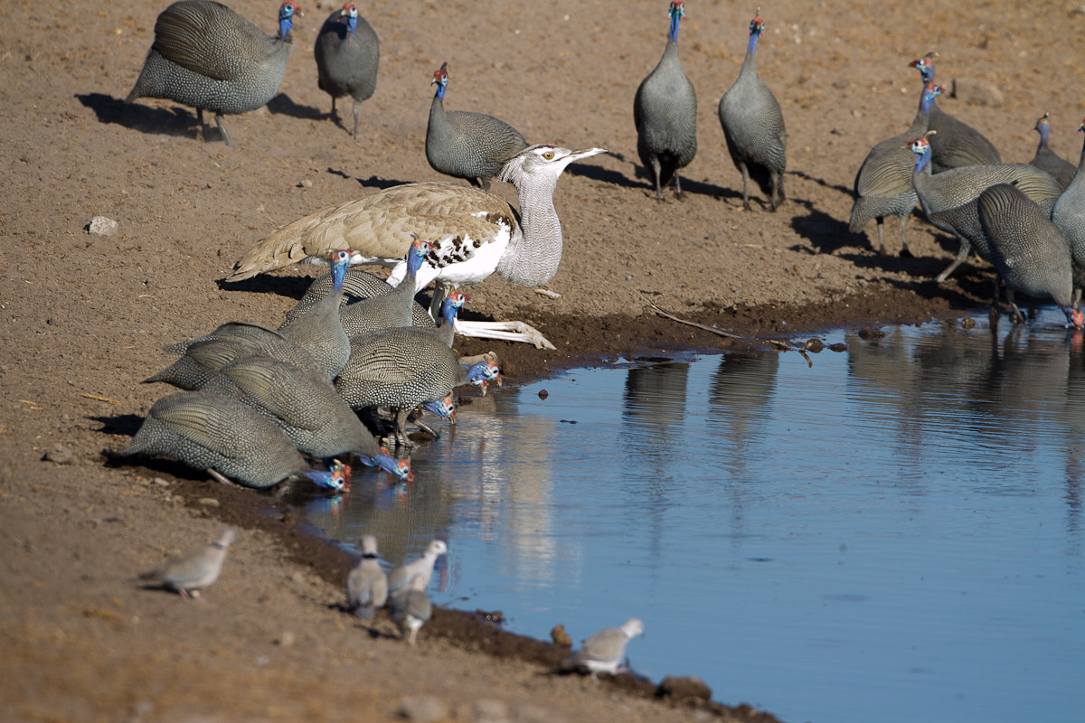 namibia-106