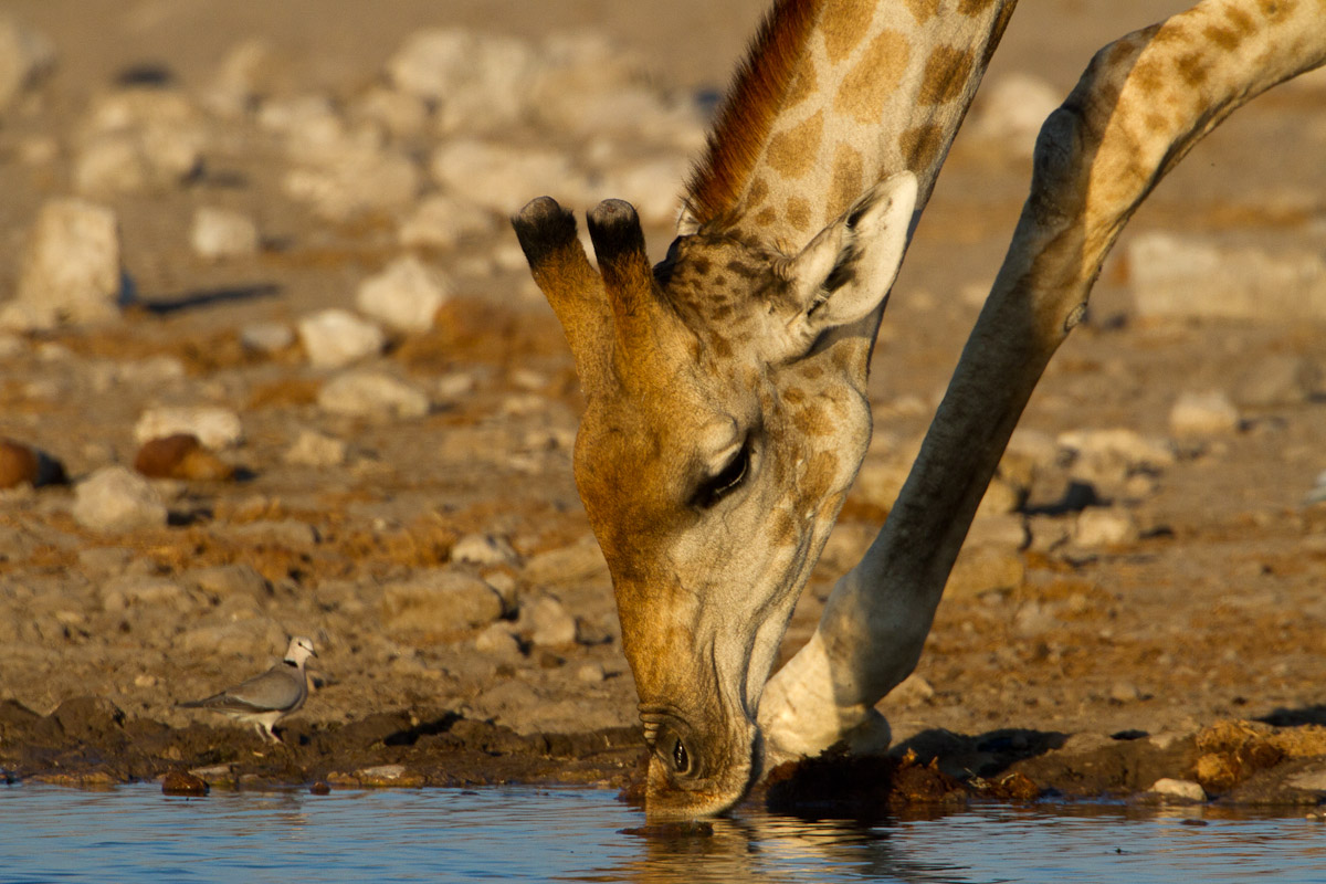 namibia-109