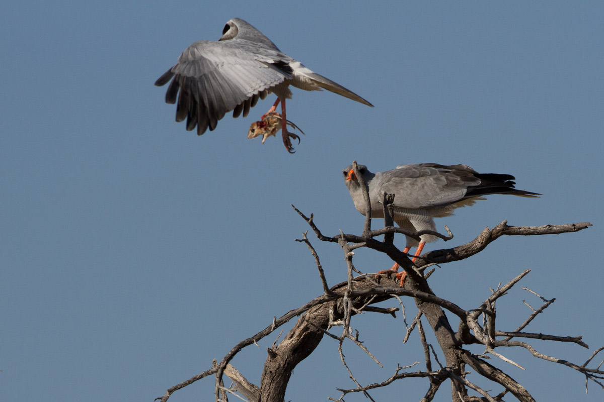 namibia-119