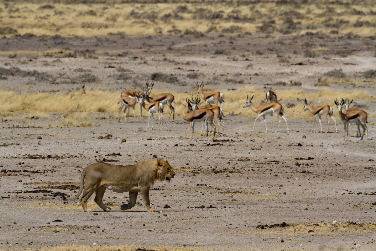 namibia-126