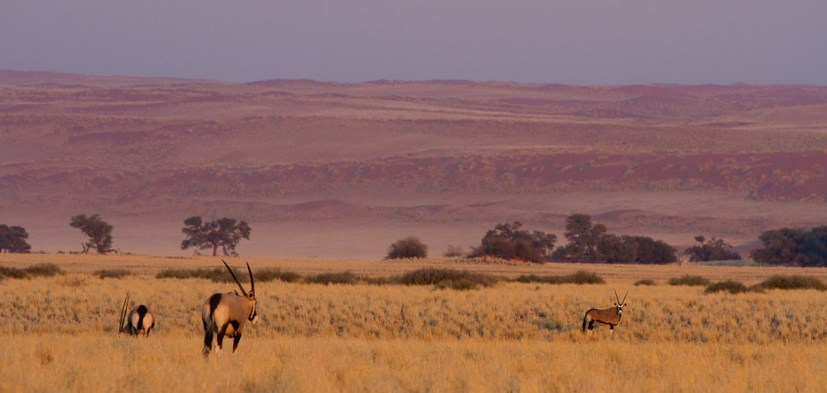 namibia-16