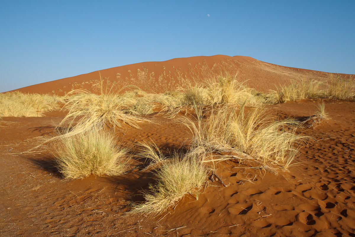 namibia-19