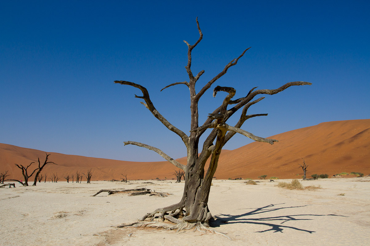 namibia-30