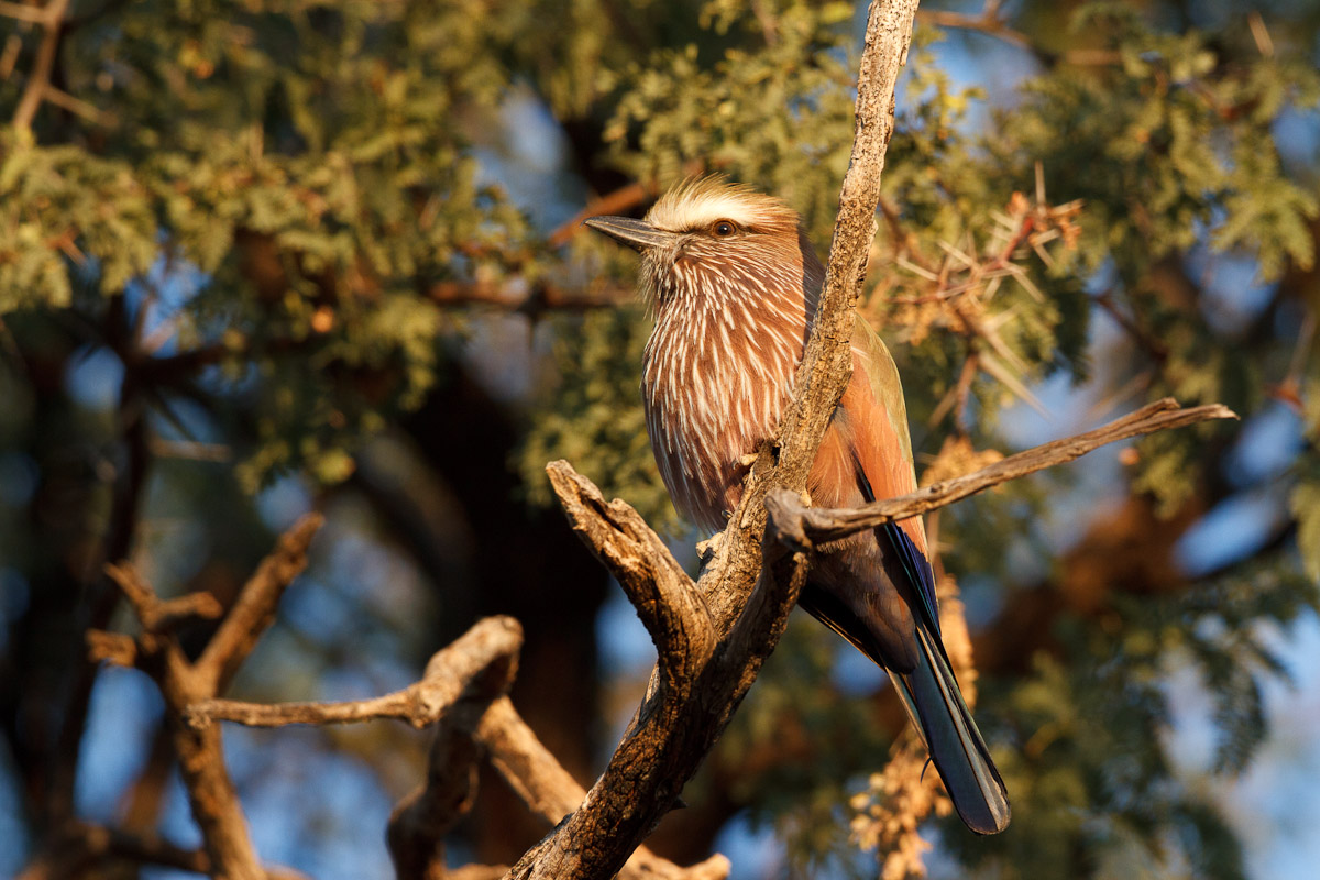 namibia-37