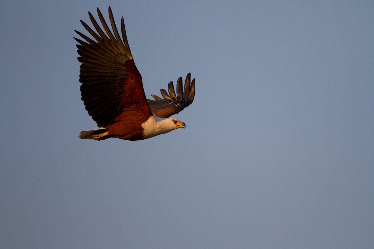 namibia-55