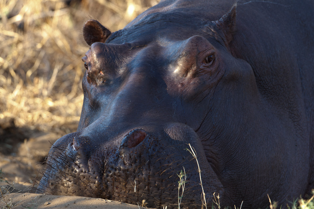 namibia-69