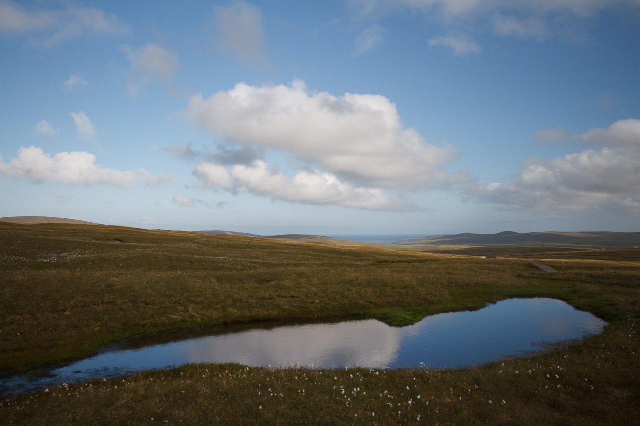 shetland-7