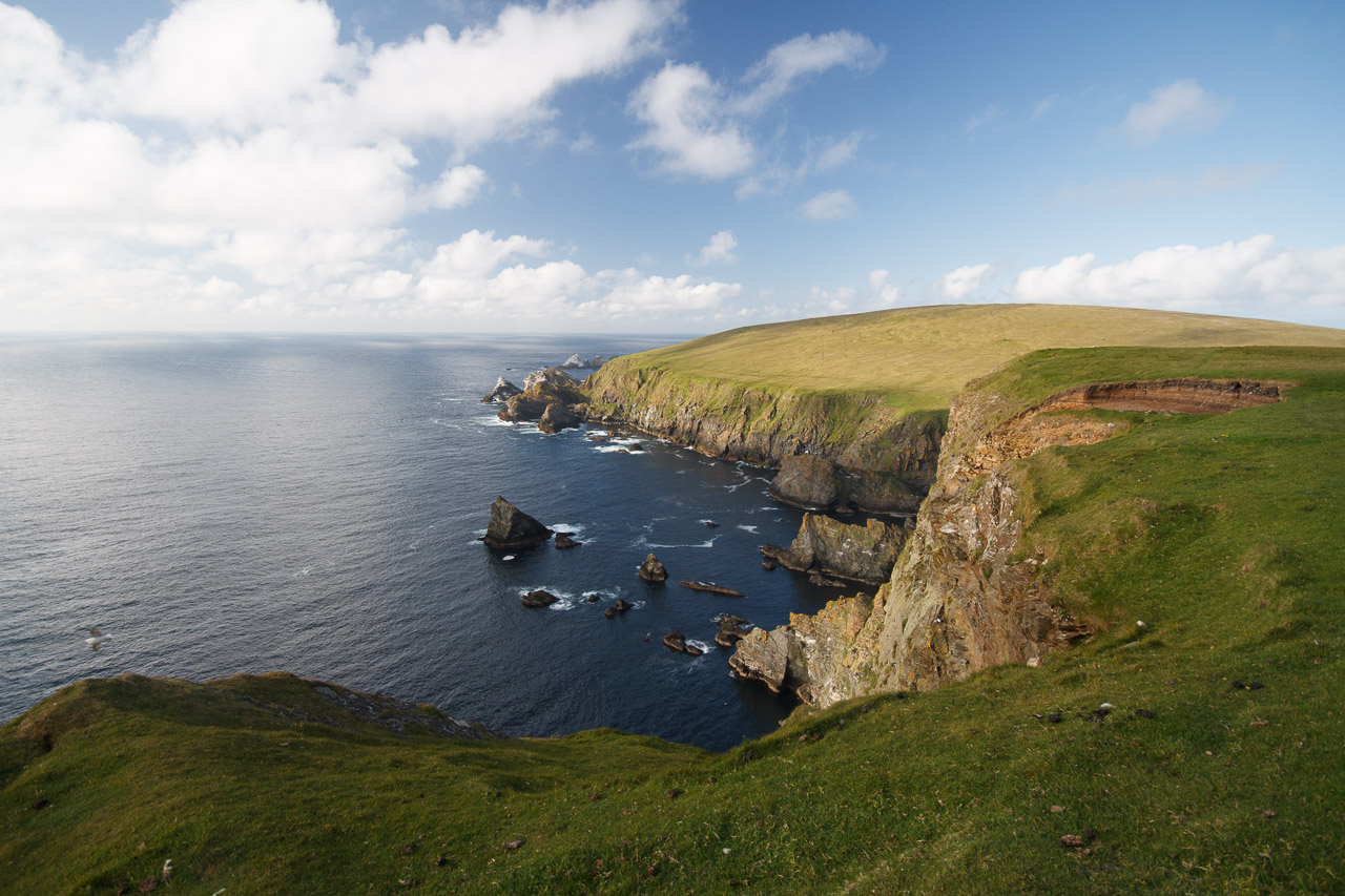 shetland-8