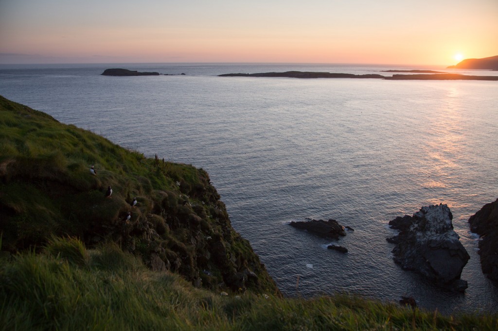 Capvespre a Sumburgh Head