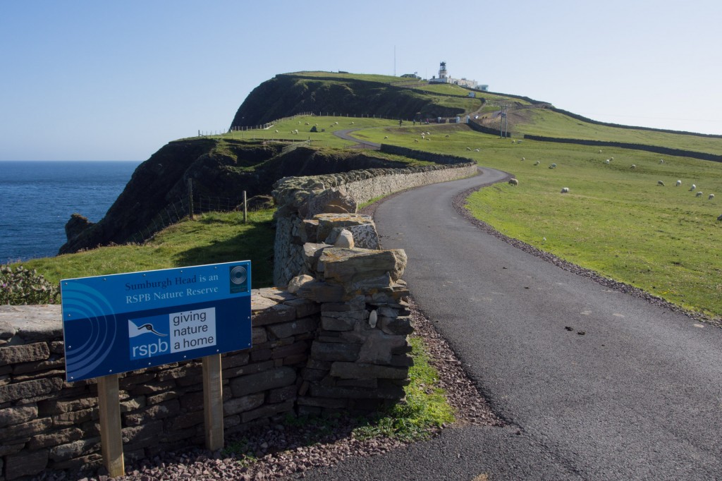 Sumburg Head, RSPB Reserve