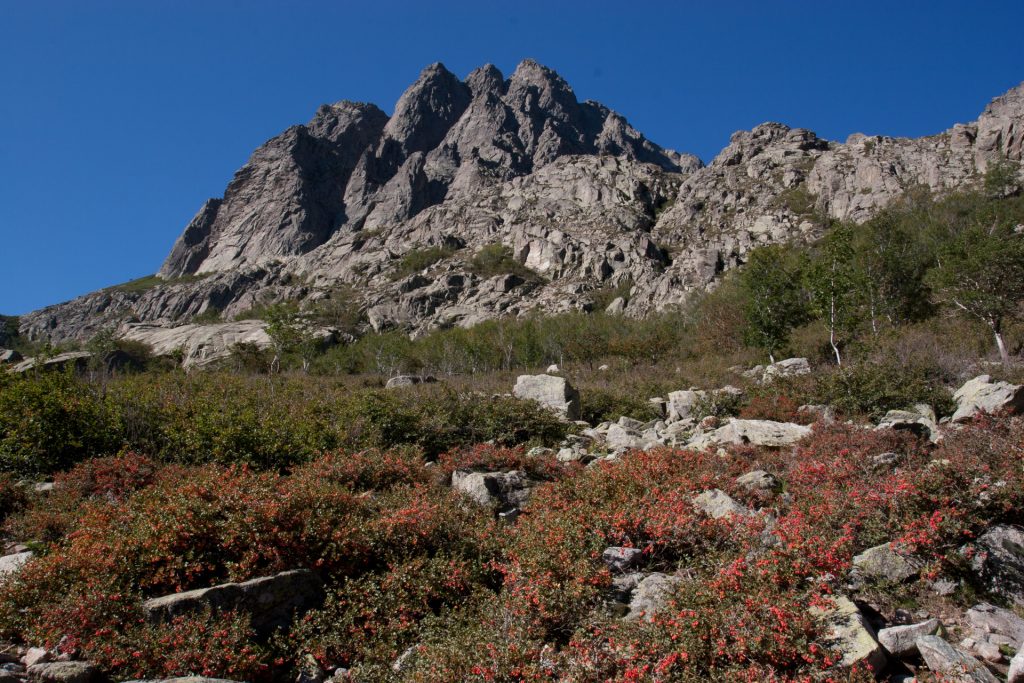 corcega-62